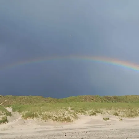 6 Person In Hvide Sande 度假居 *