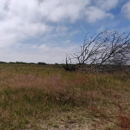 6 Person In Hvide Sande