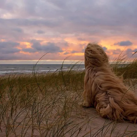 6 Person In Hvide Sande 度假居 Bjerregård
