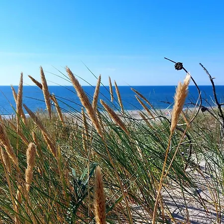 6 Person In Hvide Sande *