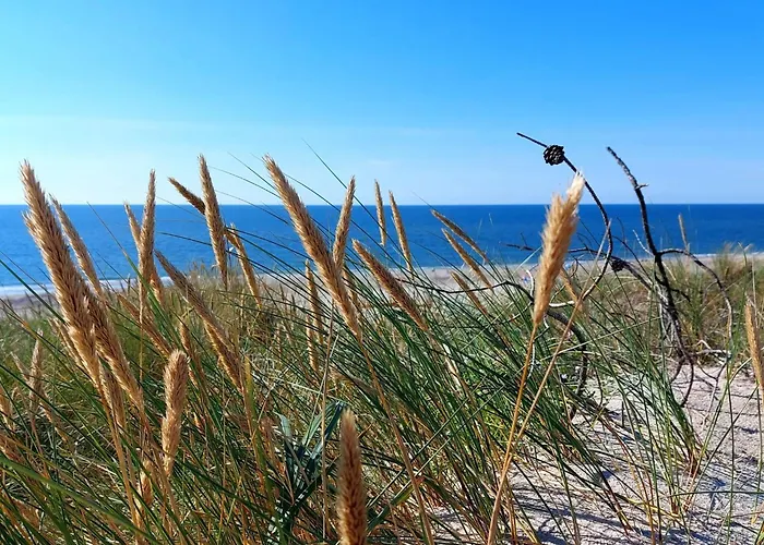 6 Person In Hvide Sande *